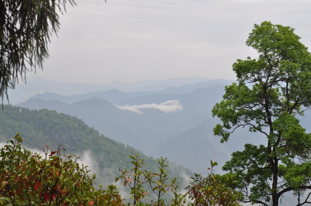 THE IRRESISTIBLE VIEW FROM LATPANCHAR FOREST