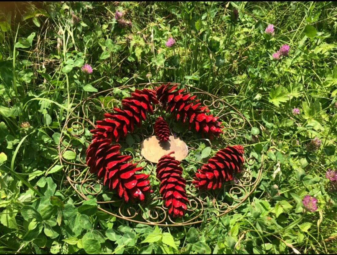 Red Pine Cones