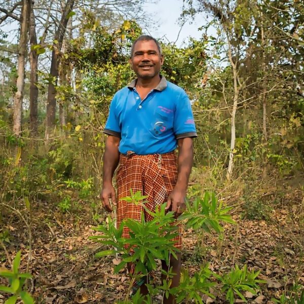 The Man Who Planted A Forest