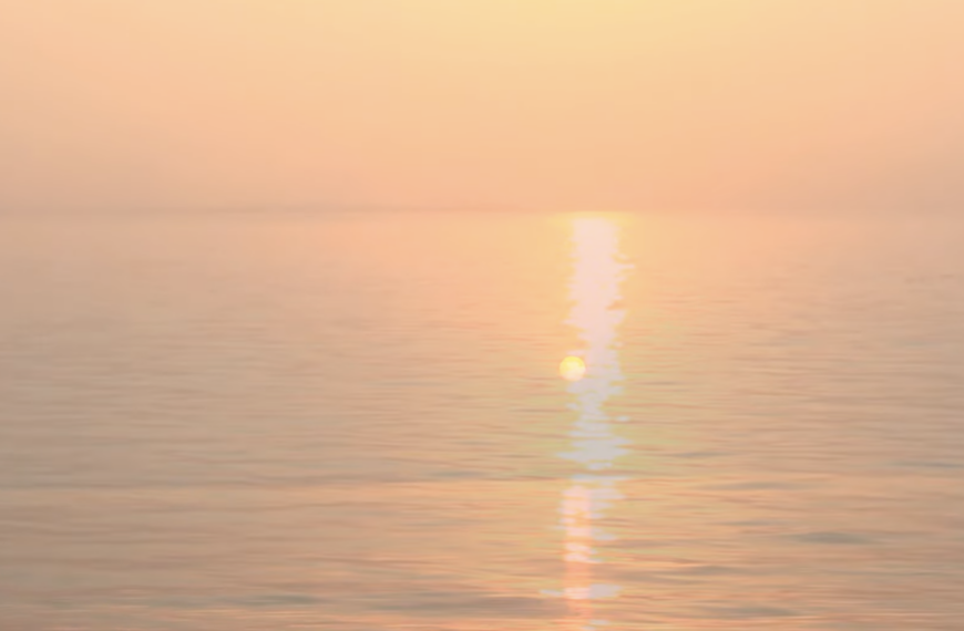 Barnali Ray Shukla: Mermaids Are Waiting