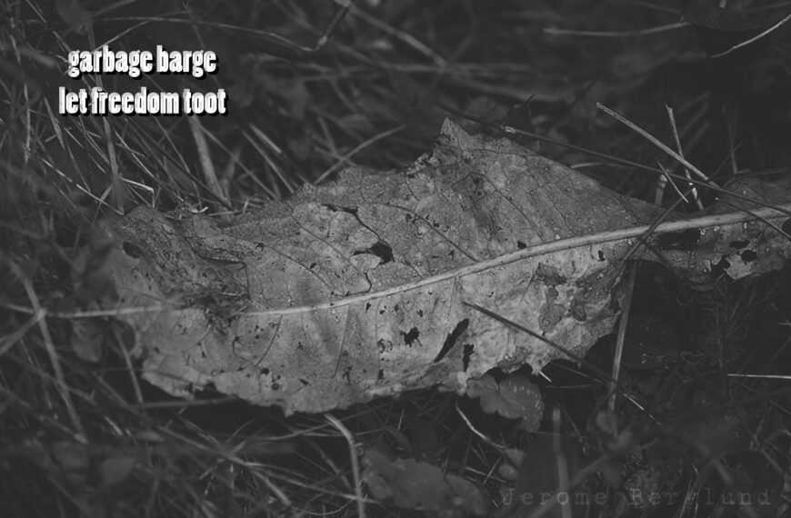 Jerome Berglund: Poetry Collaborations