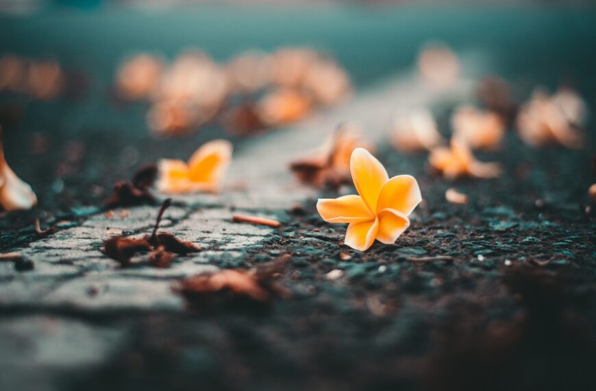 Rex Tan: Poetry 2